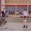 Video: Remember That Time Woody Allen Boxed A Kangaroo?